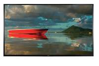 LG 49LX341C z głośnikami