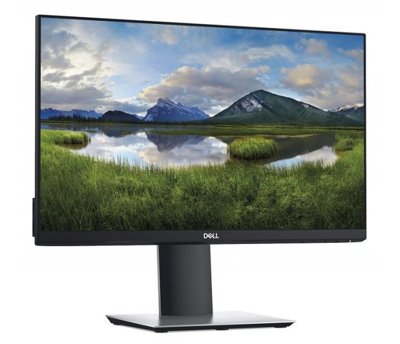 Dell P2219H