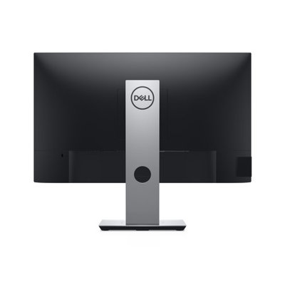 Dell P2419h