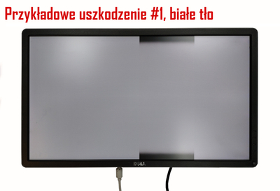 Dell UltraSharp U2415b / Klasa C (uszkodzony)