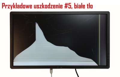 Dell UltraSharp U2415b / Klasa C (uszkodzony)