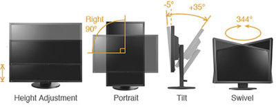 EIZO FlexScan EV2436W z głośnikami / czarny