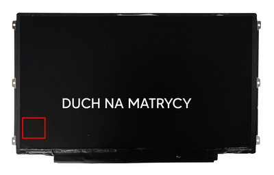 Matryca AU Optronics B125XW02 V.0 / 12,5'' HD (1366 x 768) / 40 pin LVDS / Klasa A-